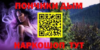 шишки Аргун