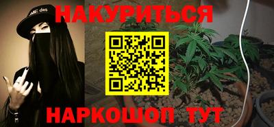 шишки Аргун