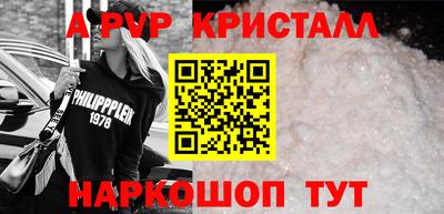 шишки Аргун