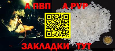 шишки Аргун