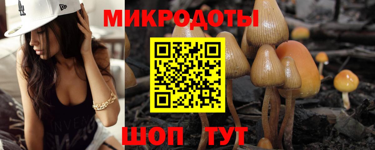 Видное  Галлюциногенные грибы мицелий  где найти наркотики  Вход с VPN 